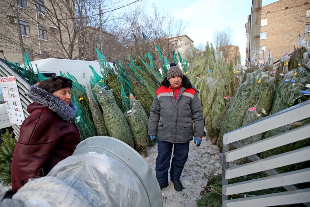 В столице открываются елочные базары