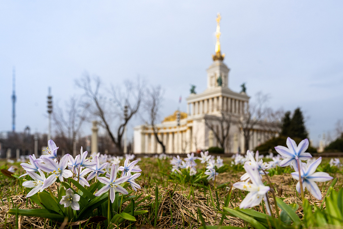 Свыше миллиона цветов распустится этой весной на ВДНХ