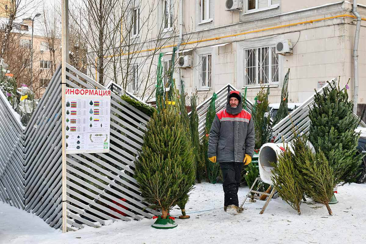 В Москве открываются елочные базары