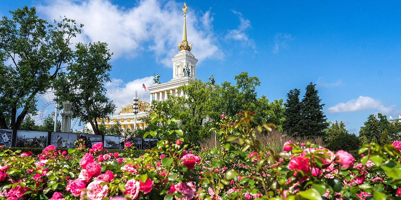 Пышным цветом: топ-5 мест ВДНХ с самыми яркими розами